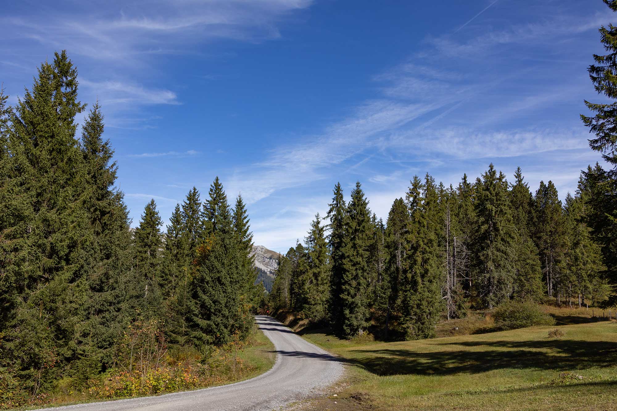 Wagliseiboden und Umgebung