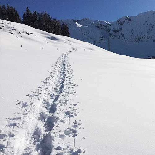 Schneeschuhwandern
