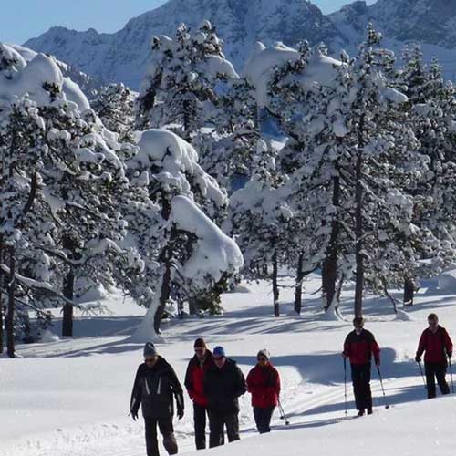 Winterwandern